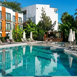 Bodrum Astrid , Gümüşlük Turquie